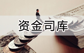 用友大型企業(yè)司庫管理解決方案